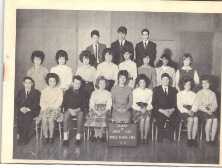 Shellbank Junior High School 14 - Find Alumni, Yearbooks and Reunion Plans