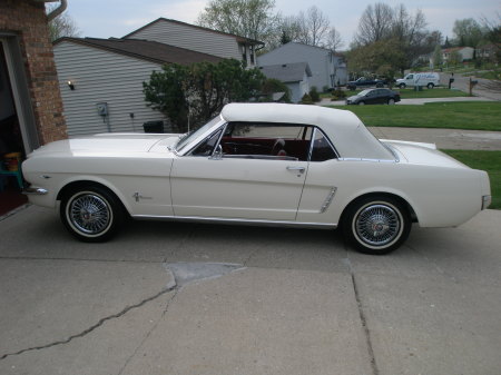 Our 64 1/2 Mustang