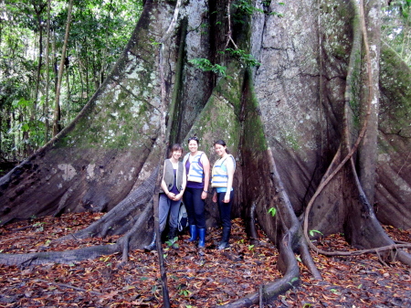 Daughters hiking in Amazon rain forest 