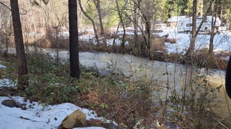 Creek in Brownsville  3/12/23
