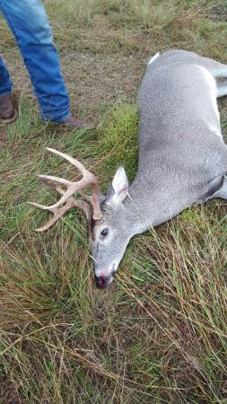 Nice 8 point