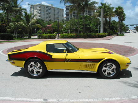 vette near my home and shop in Ft Laud.