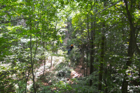 Ziplining, Middletown, 2012.