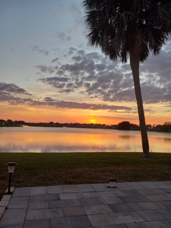 The view from our patio