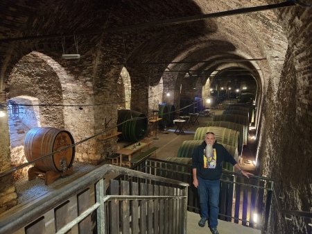 Schloss Seggau (castle) wine cellar 