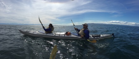 Looking for whales in Friday Harbor