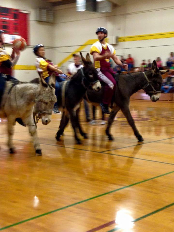 Donkey Basketball 2015