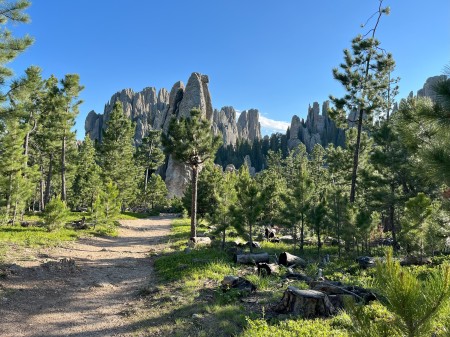 Cathedral Spires, Black Hills, SD