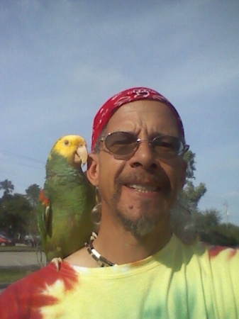 Our Parrot Sunshine