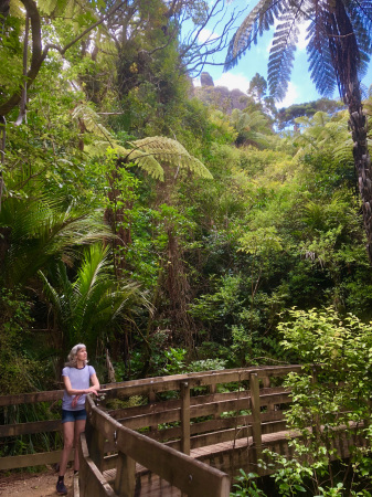 Mt Manaia NZ