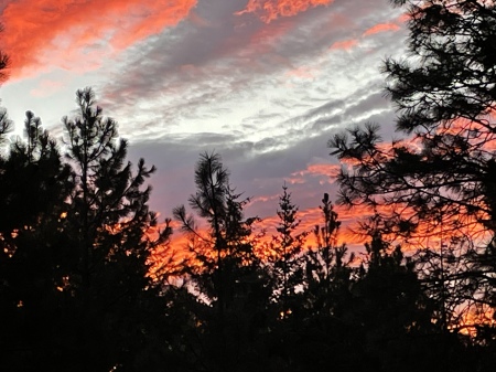 Sunset from my backyard 