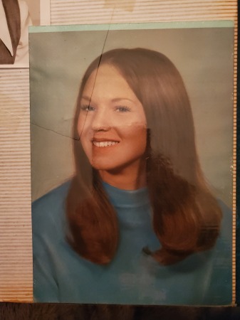 Donna Cleary's Classmates profile album