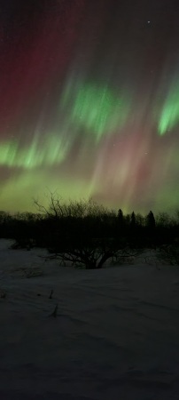 Northern lights just outside my door