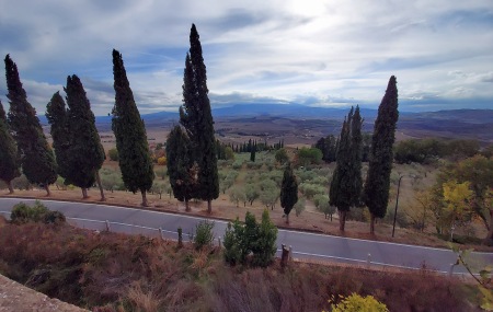 Late afternoon in Montalcino