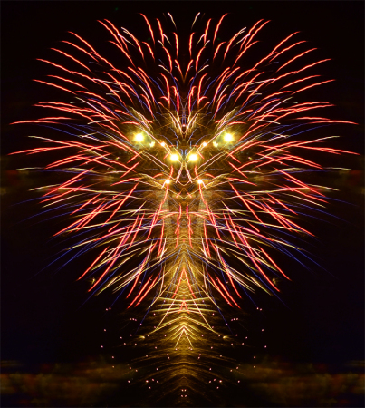 Face Fireworks PD