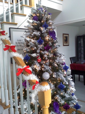 Tree in Entryway at Home