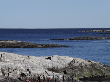 Mary LeGer's album, Us At Lands End Island, Maine