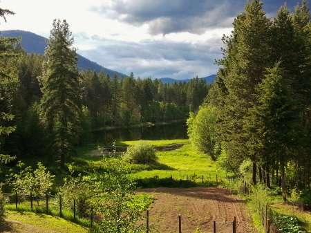 Looking out of my dining room window.