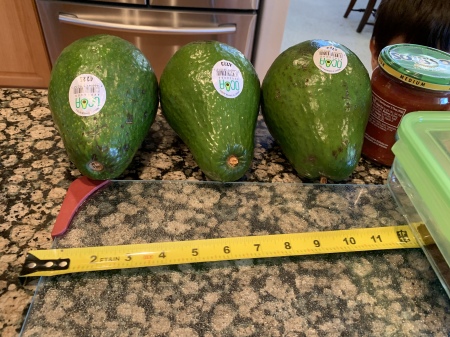 Dominican Avocado 