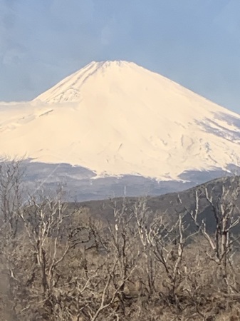 Mt Fuji