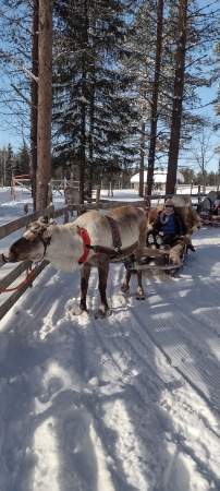 Finnish Wilderness Exodus tours 