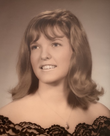 Terri Lamb's Classmates profile album