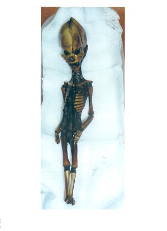 6" Inch Alien Humanoid Atacama, Desert, Peru