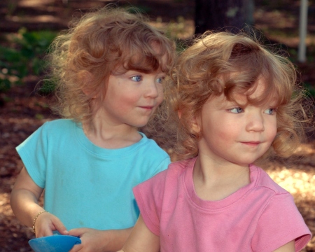 Our twin granddaughters around 2007