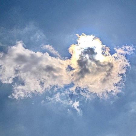 Beauty in the sky ~ look up!