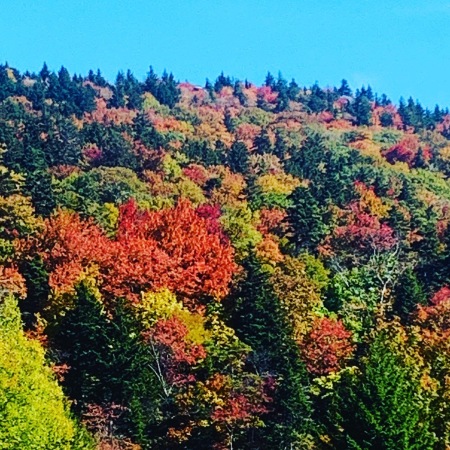 Fall in Tennessee