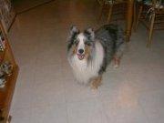 madra thomas's Classmates® Profile Photo