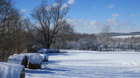 January Snow