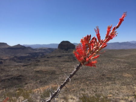 Big Bend