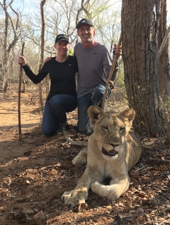 Zimbabwe Lion Walking (2019)