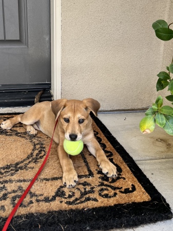 Sky Johnson watching the House 13 weeks. 