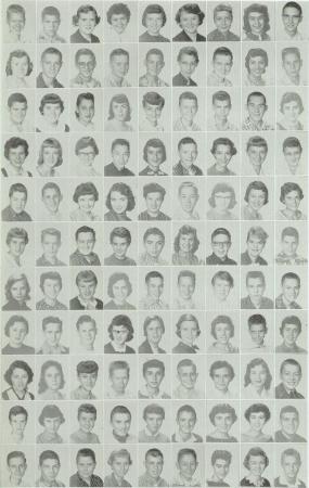 Lynne Archer's Classmates profile album