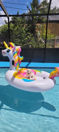 Buffy in her pool unicorn 