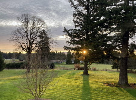 December sunrise in the Pacific Northwest