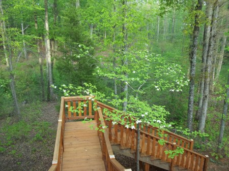 View from back deck