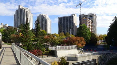 The Forks of The Thames,    October 2019