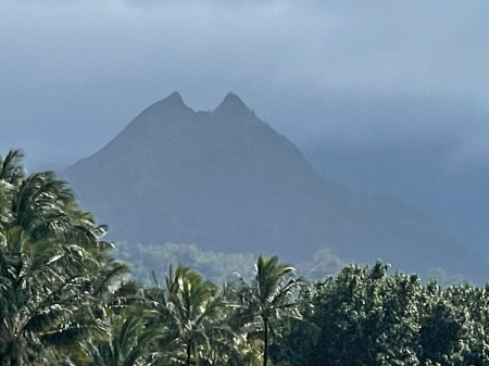 Hihimanu -- guide to Anini channel