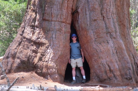 Sequoia National Park