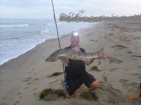 Dan Corey's album, Hobby - Surf Fishing #2