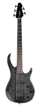 AC 5 BPX, 5 String Bass!