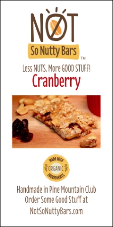 Cranberry Not So Nutty Bars