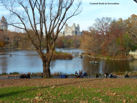 Central Park in November
