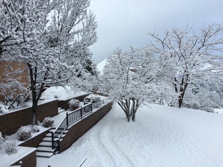 Snow in Provo