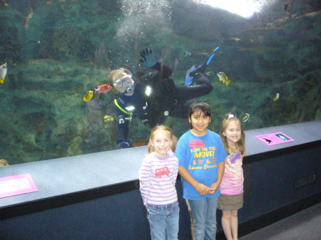 Newport Aquarium, Newport, Ky.