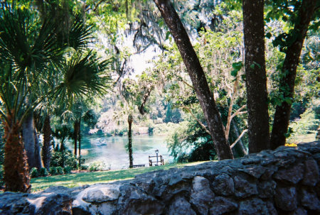 great place - rainbow springs, FL