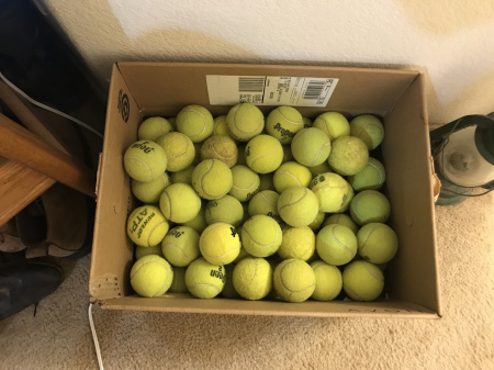 100 tennis balls for Kuly Blu Jade!!!!